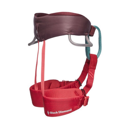 Black Diamond Momentum Harness - Kid's