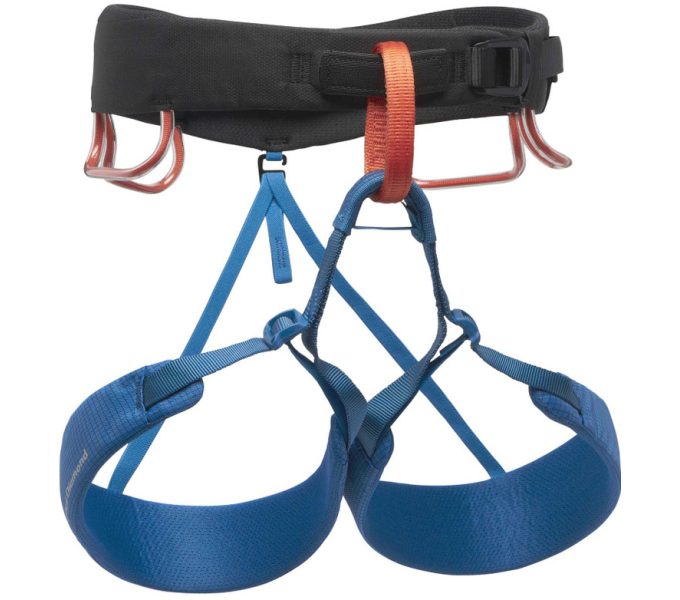 men's harness